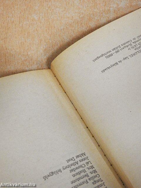 A dilettáns detektív