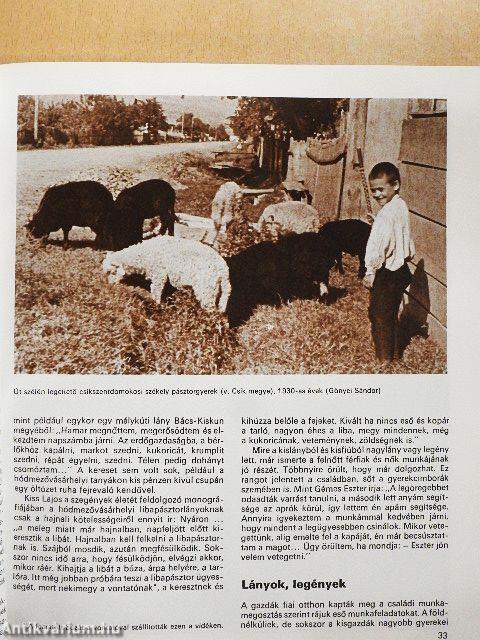 Képes magyar néprajz