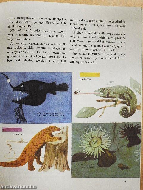 A világ és az ember