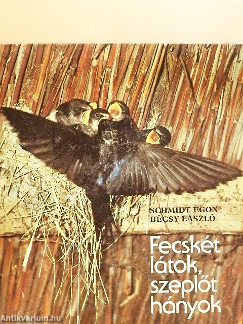 Fecskét látok, szeplőt hányok