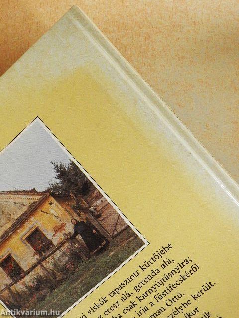 Fecskét látok, szeplőt hányok