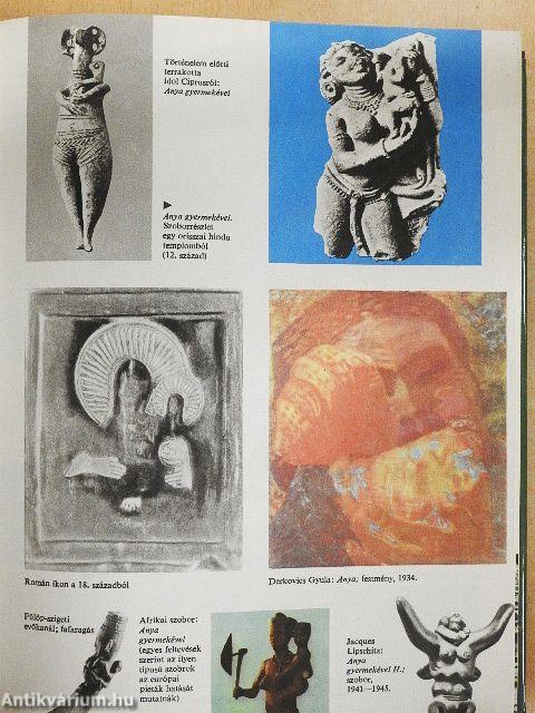 Minerva nagy képes enciklopédia 2.