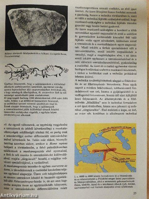 Minerva nagy képes enciklopédia 3.