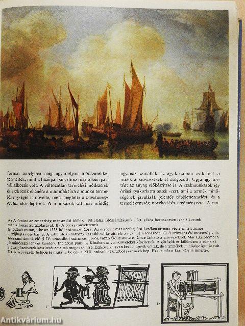 Minerva nagy képes enciklopédia 3.