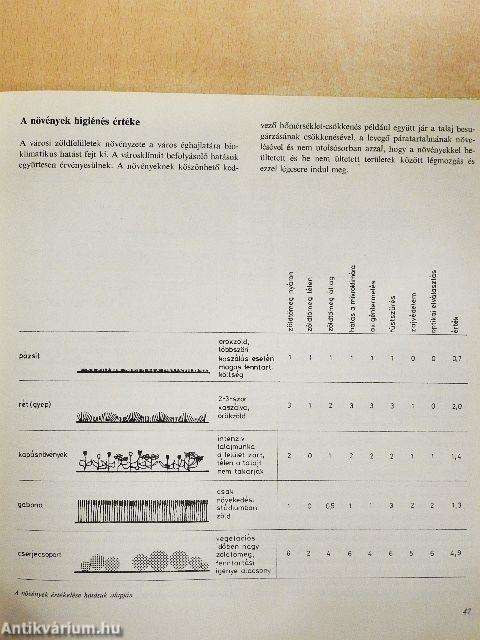 A zöldfelületek fenntartása