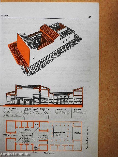 Latin nyelvkönyv I.