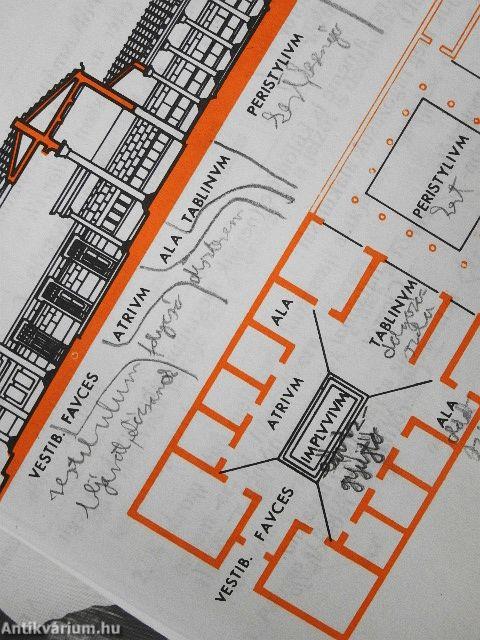 Latin nyelvkönyv I.