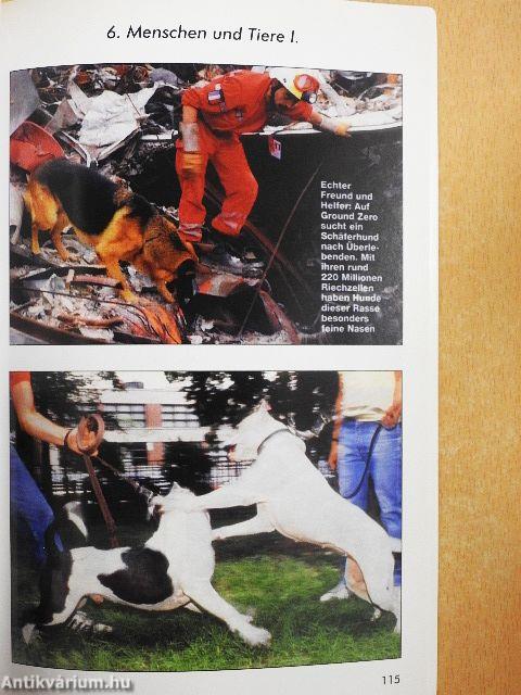 Szóbeli feladatok a német emelt szintű érettségire és a nemzetközi nyelvvizsgákra