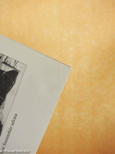 Szent Ferenc leányai Baján