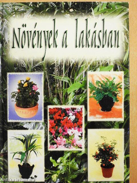 Növények a lakásban