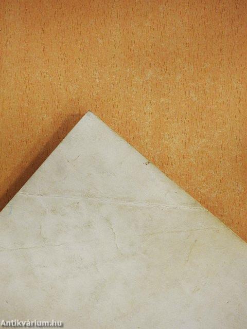 A székesfehérvári Hunyadi Mátyás Közgazdasági Szakközépiskola emlékkönyve 1868-1968.