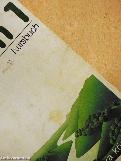 Themen 1 - Kursbuch/Arbeitsbuch