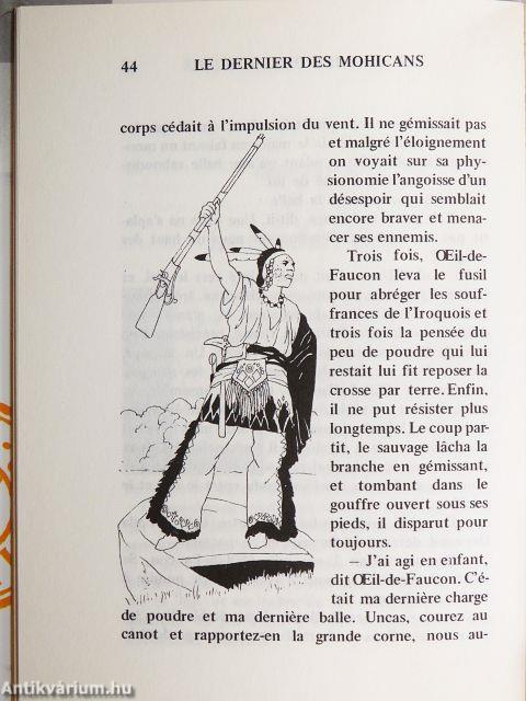 Le dernier des Mohicans