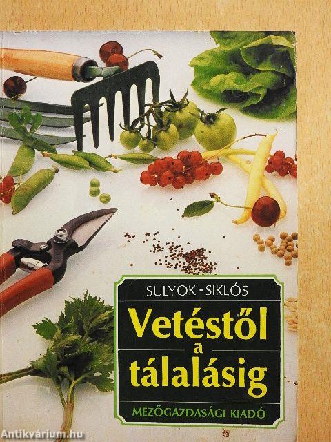 Vetéstől a tálalásig