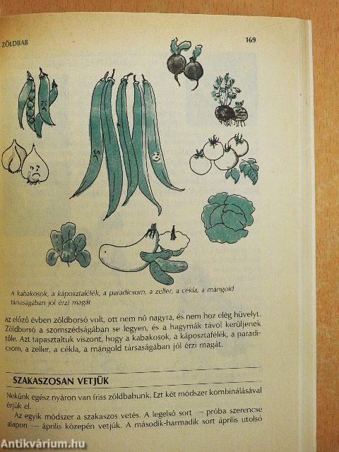 Vetéstől a tálalásig