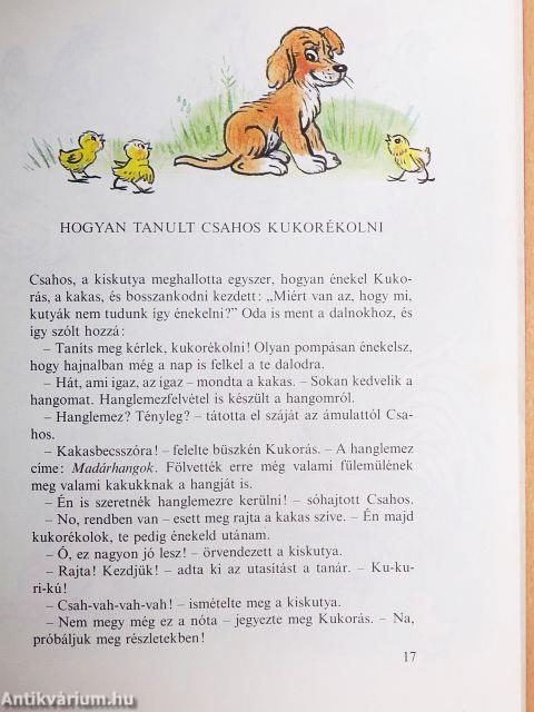 A Sün, akit meg lehetett simogatni