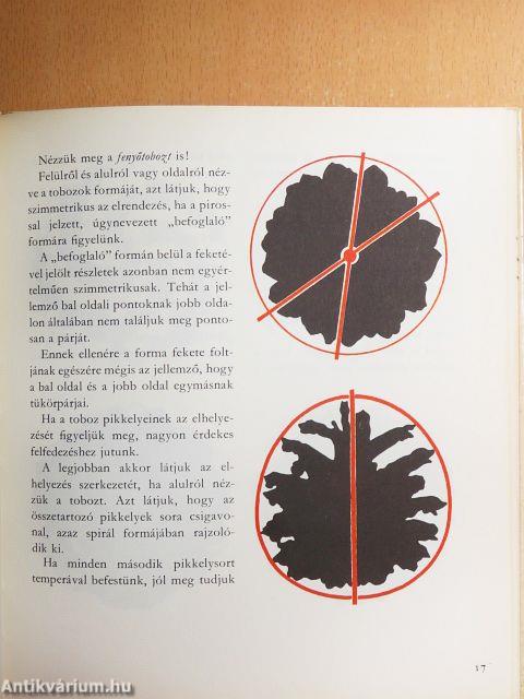 Rokonvilágok
