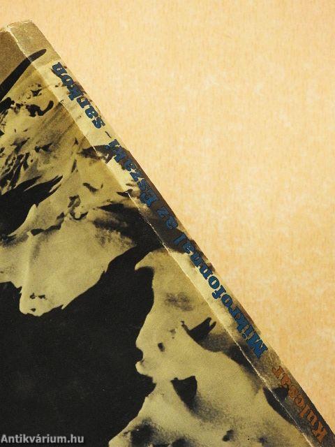 Mikrofonnal az Északi-sarkon