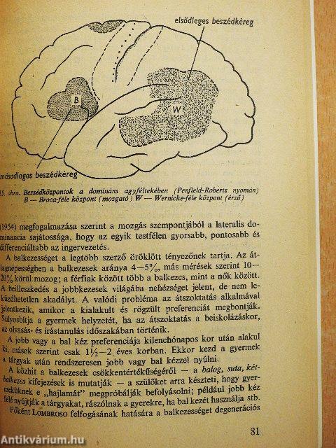 Az írástanulás pszichológiája