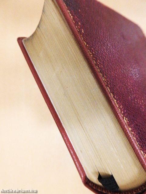 Nicolaus Lenaus Sämtliche Werke (gótbetűs)