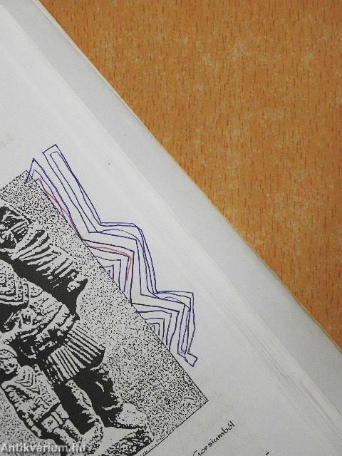 Linguam Latinam disco I.