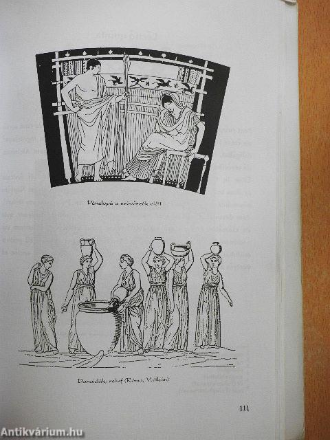 Linguam Latinam disco I.