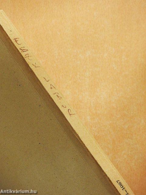 Laboratóriumi útmutató az elektronikus eszközök c. tárgyhoz