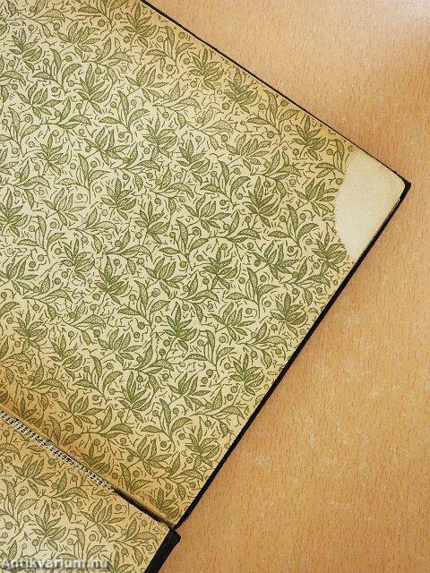 A gyakorló orvos sebészete (rossz állapotú)