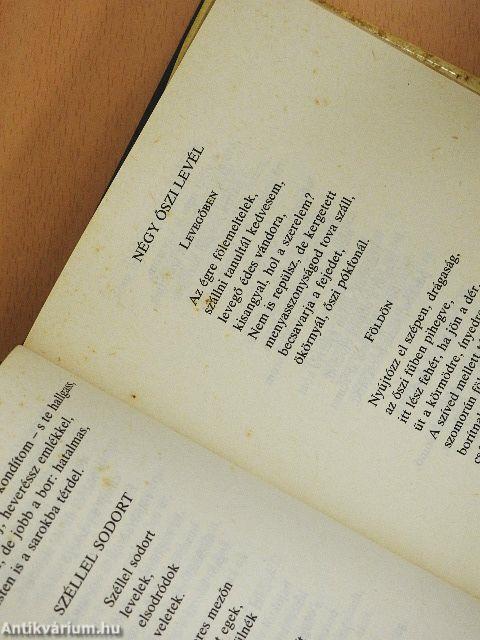 Nagy László összegyűjtött versei