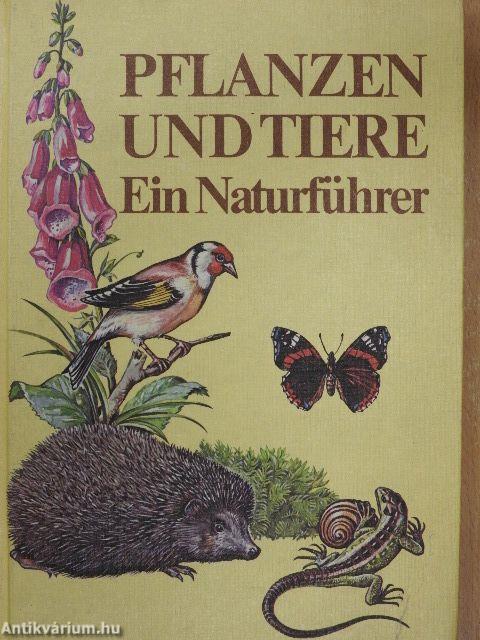 Pflanzen und Tiere