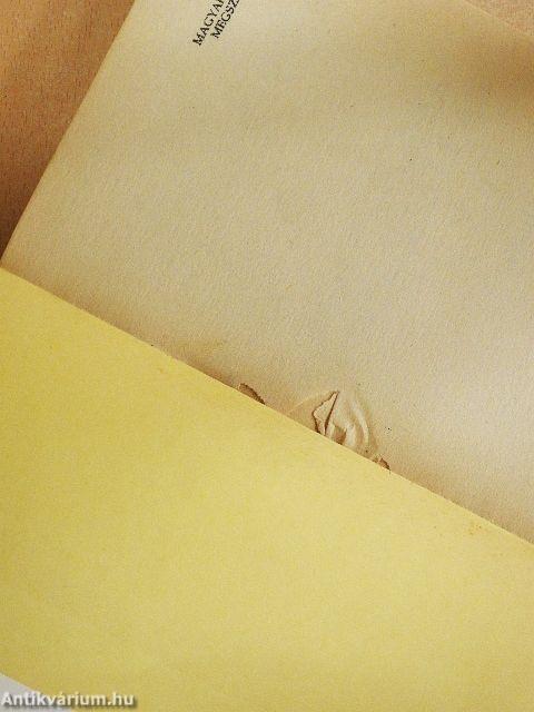 Magyarország megszállása