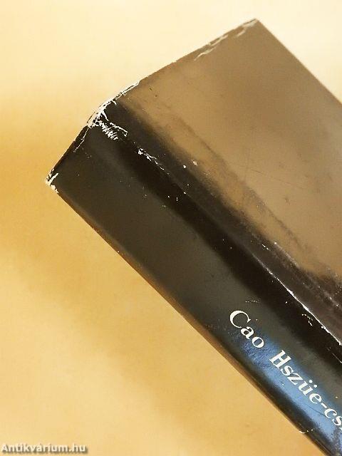 A Vörös Szoba álma