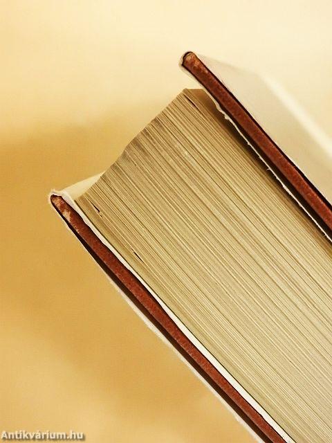 A Vörös Szoba álma