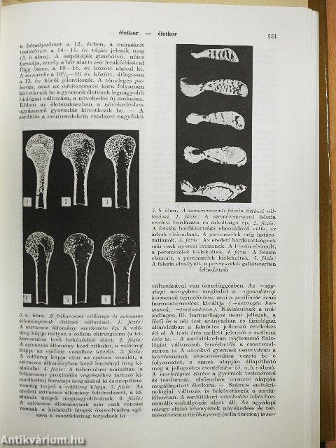Biológiai lexikon 1-4.