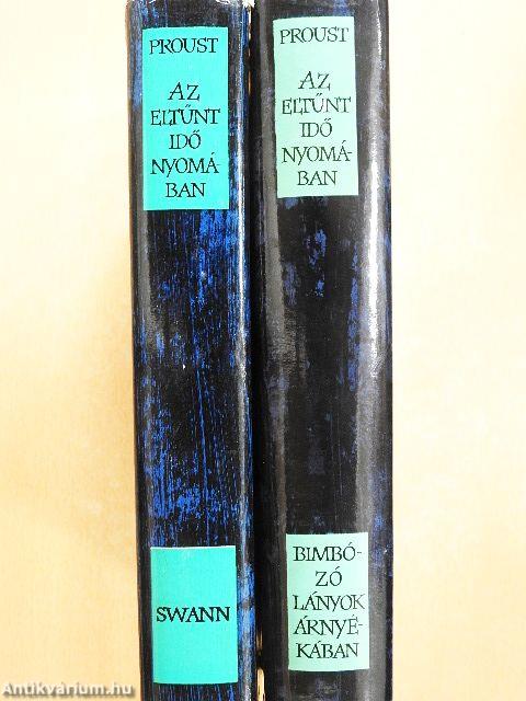Az eltűnt idő nyomában I-II. 