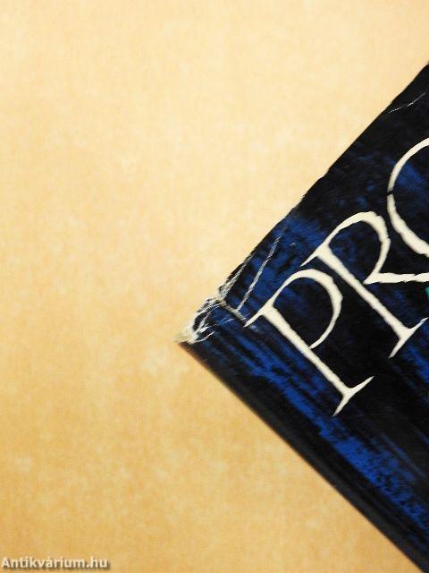 Az eltűnt idő nyomában I-II. 