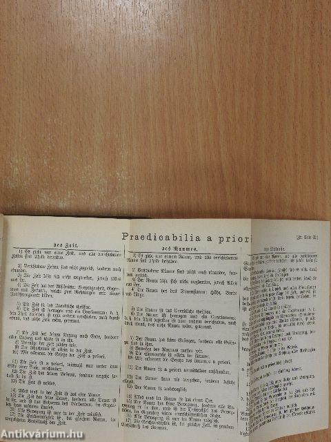 Die Welt als Wille und Vorstellung I-II. (gótbetűs)