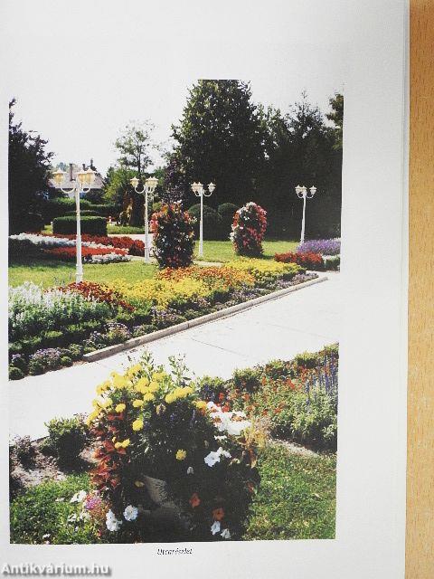 Csemő monográfiája