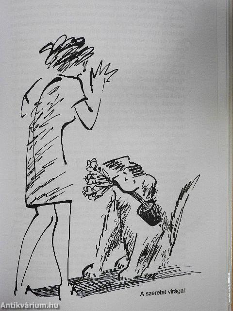 Bukfenc mindent tud...