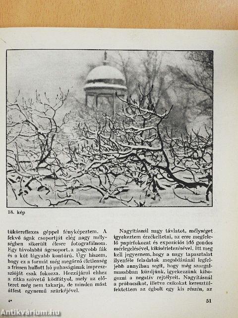 Fényképezés a szabadban