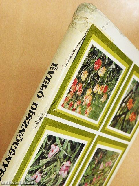 Évelő dísznövények termesztése