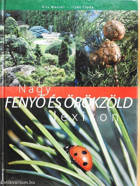 Nagy fenyő és örökzöld lexikon