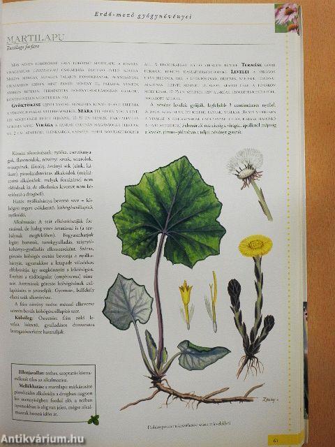 A természet kincseskamrája