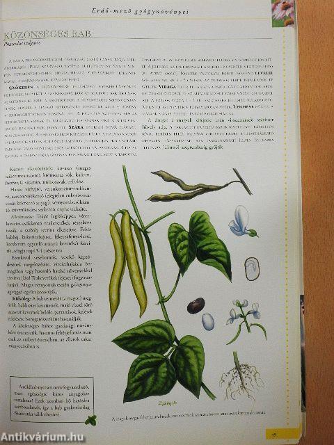 A természet kincseskamrája