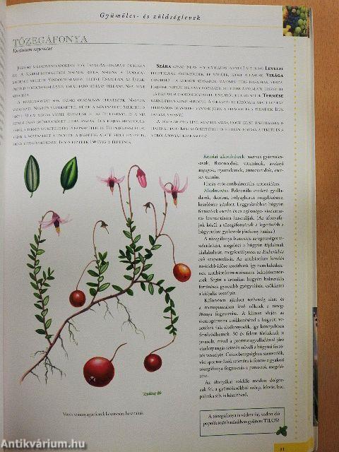 A természet kincseskamrája