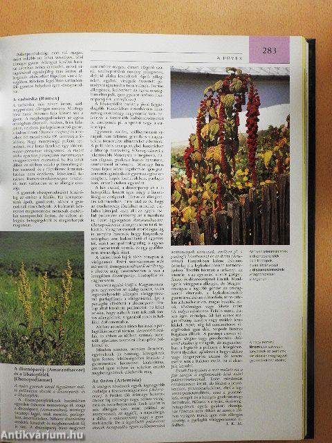 Pannon Enciklopédia - Magyarország növényvilága
