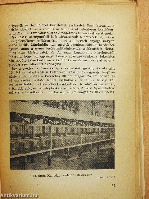 Nutria- és nyérctenyésztés, perzsa- és pannofixprémtermelés