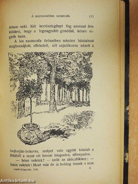 Petőfiné Szendrey Júlia eredeti elbeszélései