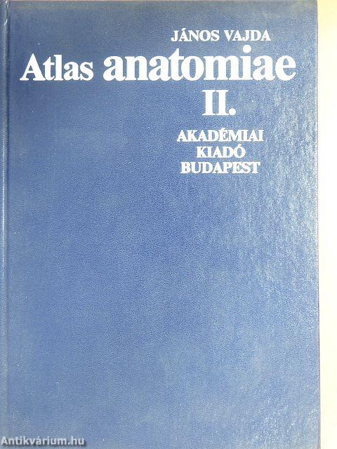 Atlas anatomiae II. (töredék)