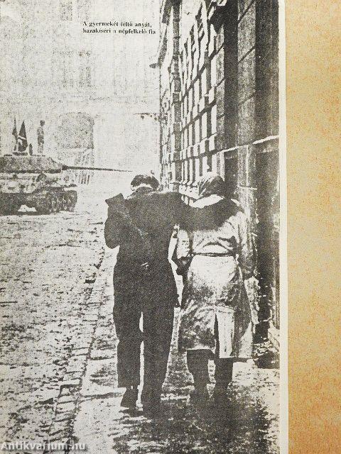 Hadsereg vezetés nélkül